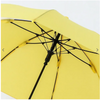 Kids Umbrella