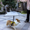 Clear Dog Umbrella with Adjustable Leash - Hands-Free Rain Protection for Small Dogs