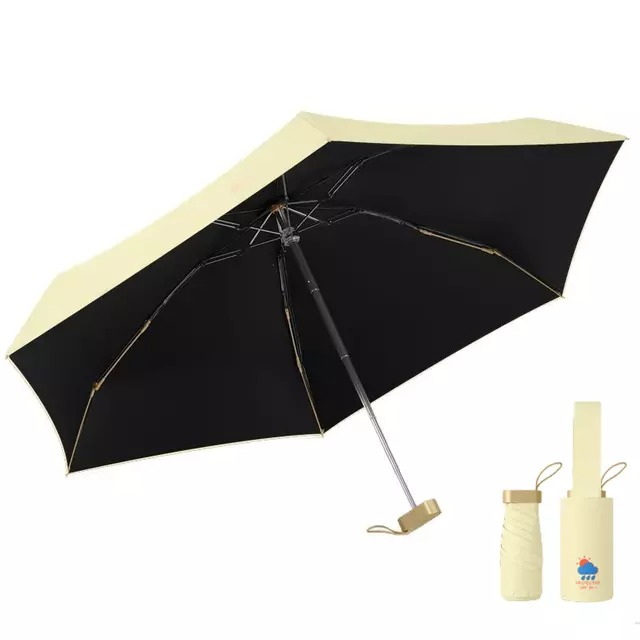 Can You Bring a Folded Umbrella on a Plane?