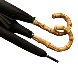 Bamboo_Handle_Umbrella-removebg-preview