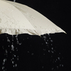 Parasol Long Umbrella 50cm (For Both Sunny And Rainy Days)