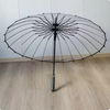 Clear Umbrella