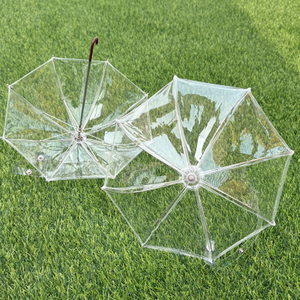 Small Clear Umbrella